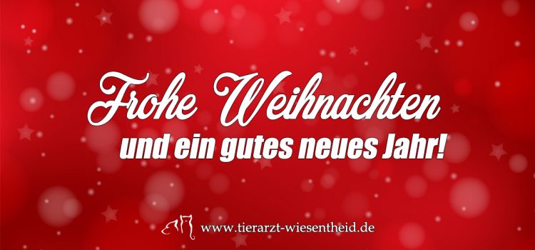 Wir wünschen ein frohes Weihnachtsfest & ein gutes neues Jahr