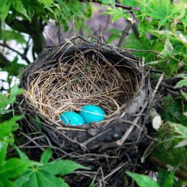 Eilmeldung: „BAD EGG“ Eilmeldung: „BAD EGG“