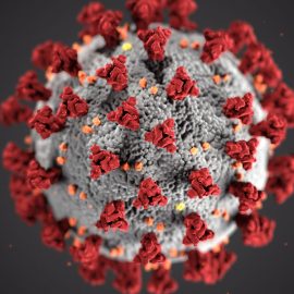 Corona-Virus-Pandemie beachten Sie bitte folgende Informationen! Corona-Virus-Pandemie beachten Sie bitte folgende Informationen!