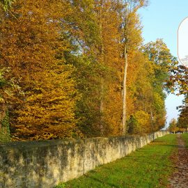 Und der Herbst beginnt Und der Herbst beginnt